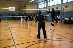 Volleyball-1